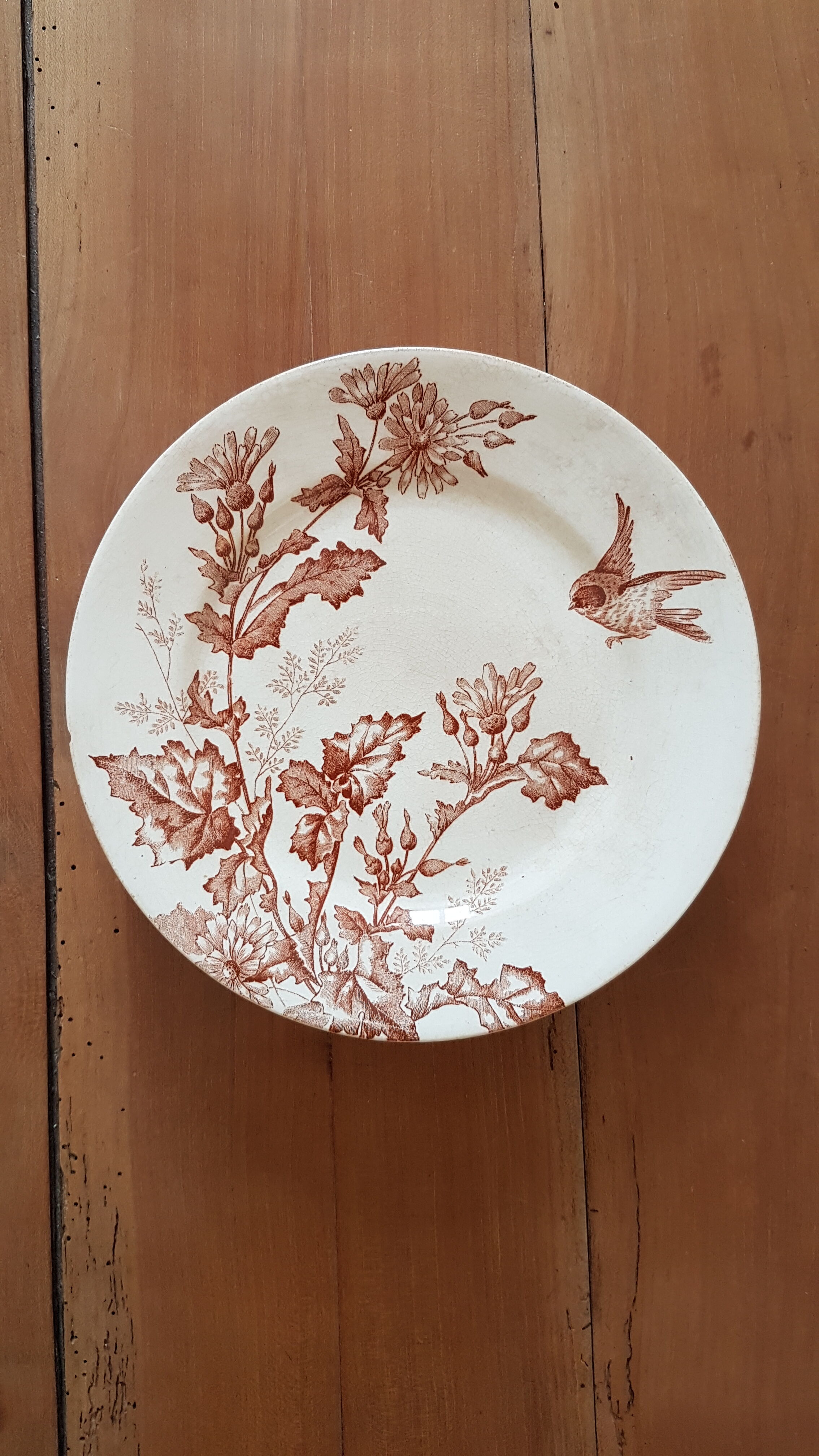 Compotier longwy Botanique