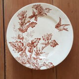 Compotier longwy Botanique