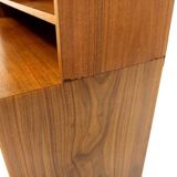 Scandinavian walnut library, Sweden, 1960