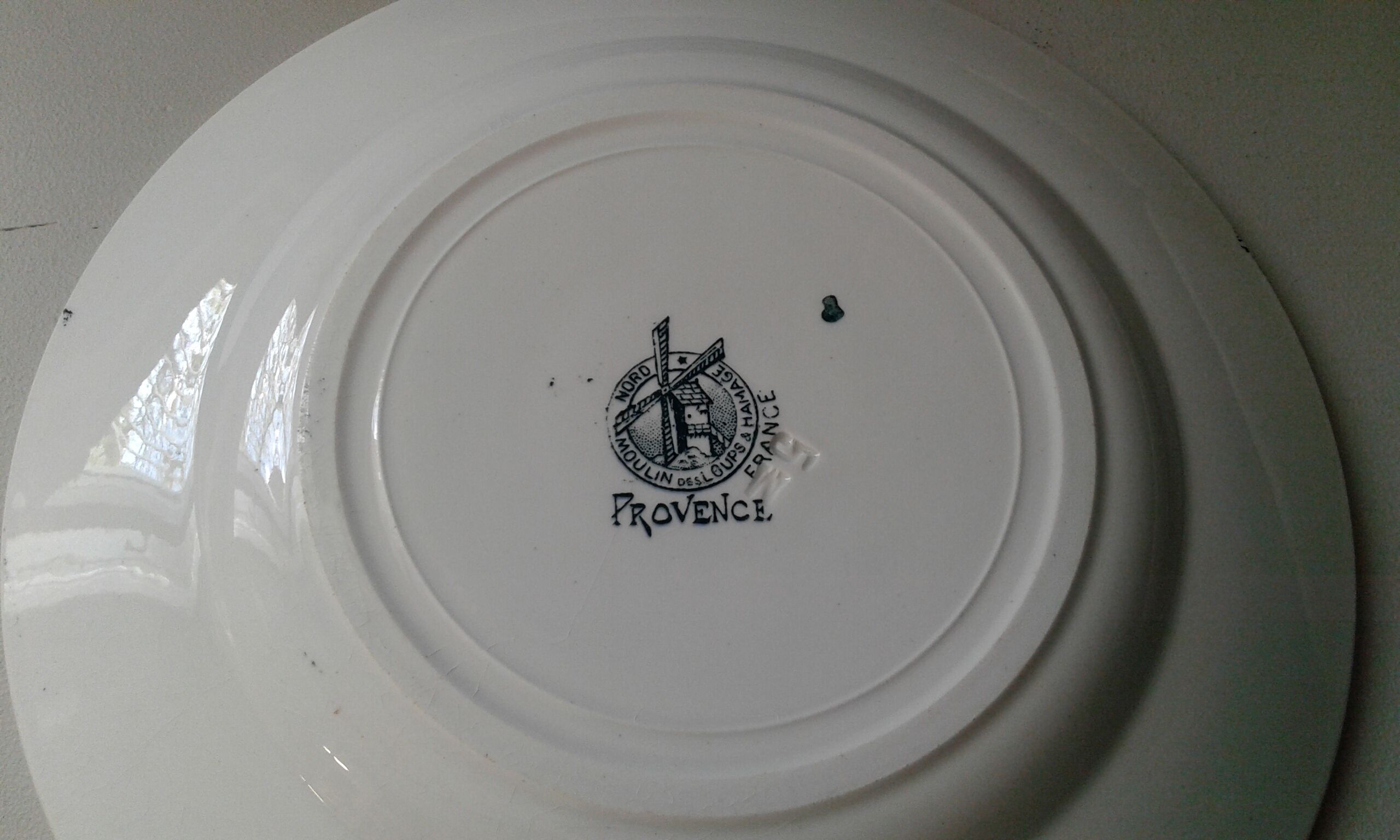 6 semi-hollow plates. Wolf mill . Model provence