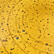 Vintage speckled yellow Palma plate Boch La Louvière
