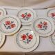 Set of 8 old flat plates from digoin sarreguemines earthenware factories - cannes model