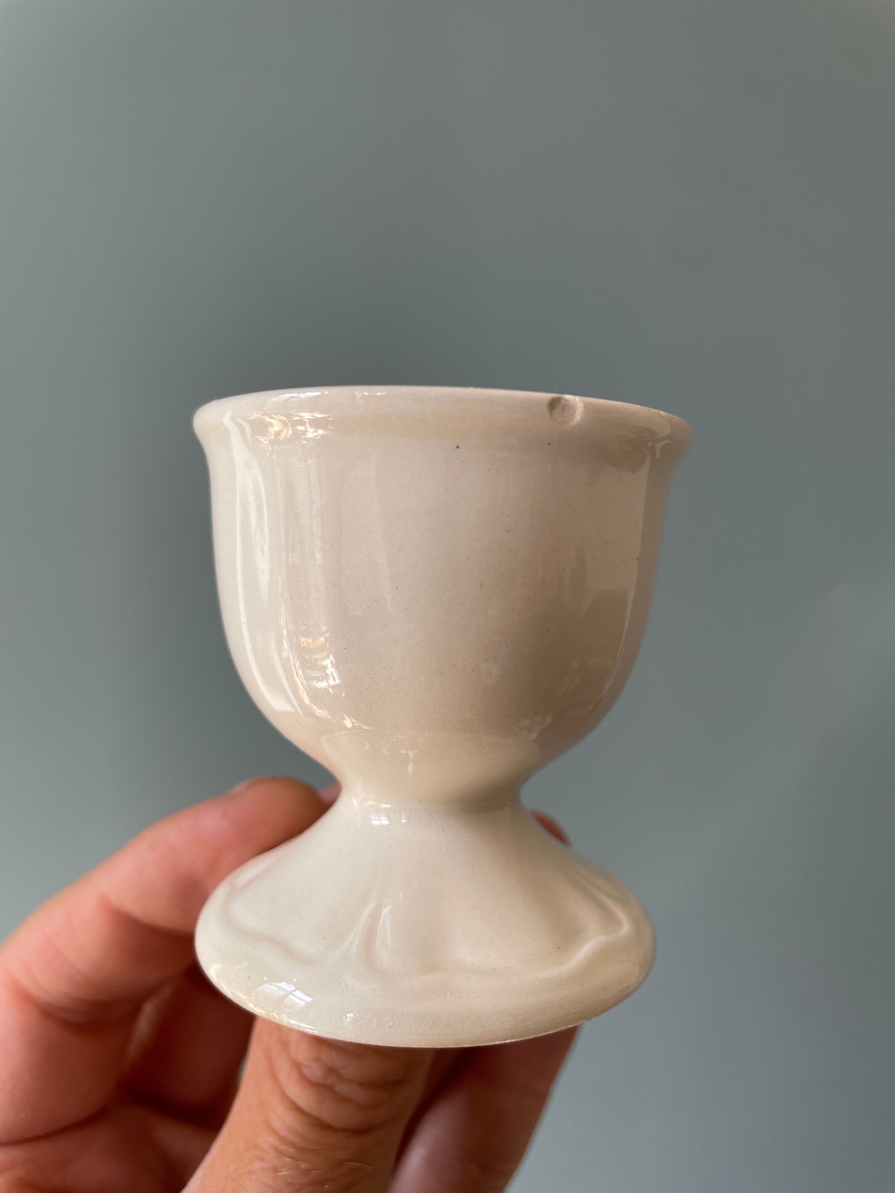 Set of 13 old standing cockroaches