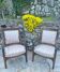 Pair of French mahogany armchairs from the Restoration period