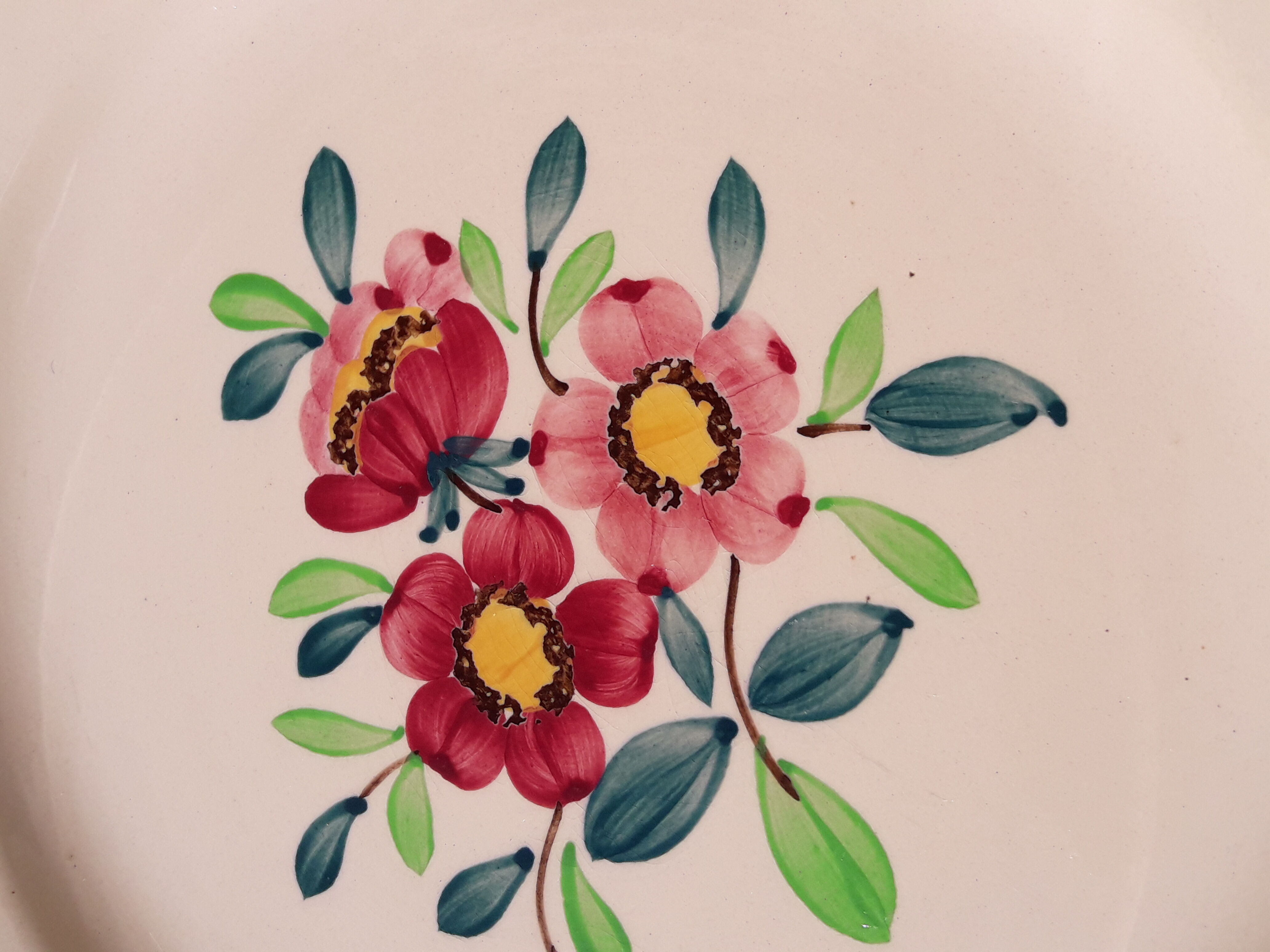 Set de 2 assiettes en faïence de Sarreguemines modèle Amazonas diam 22,5 cm