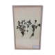 Herbarium