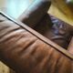 Leather and jacquard club chair