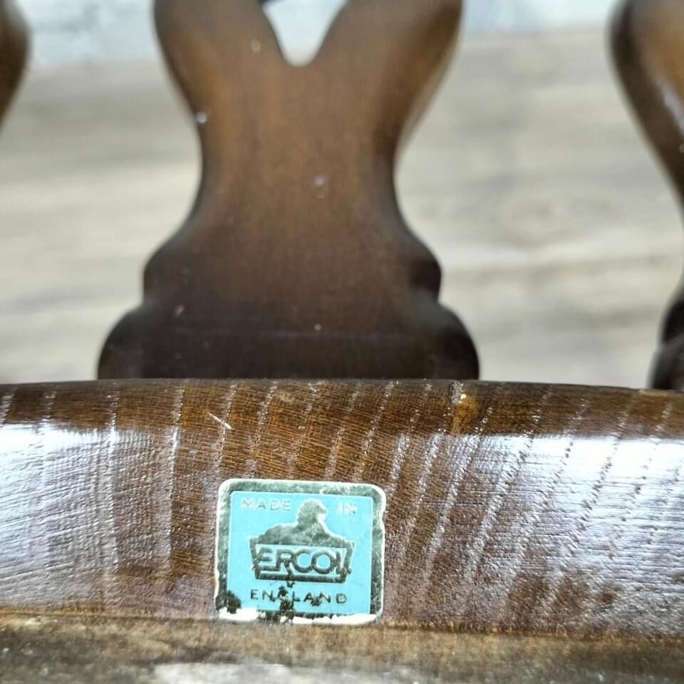 Fixed relax armchair by Luigi Ercolani for Ercol 1950/60