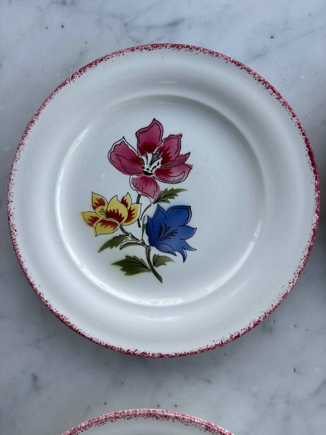 Set of 6 Saint Amand Maïté plates