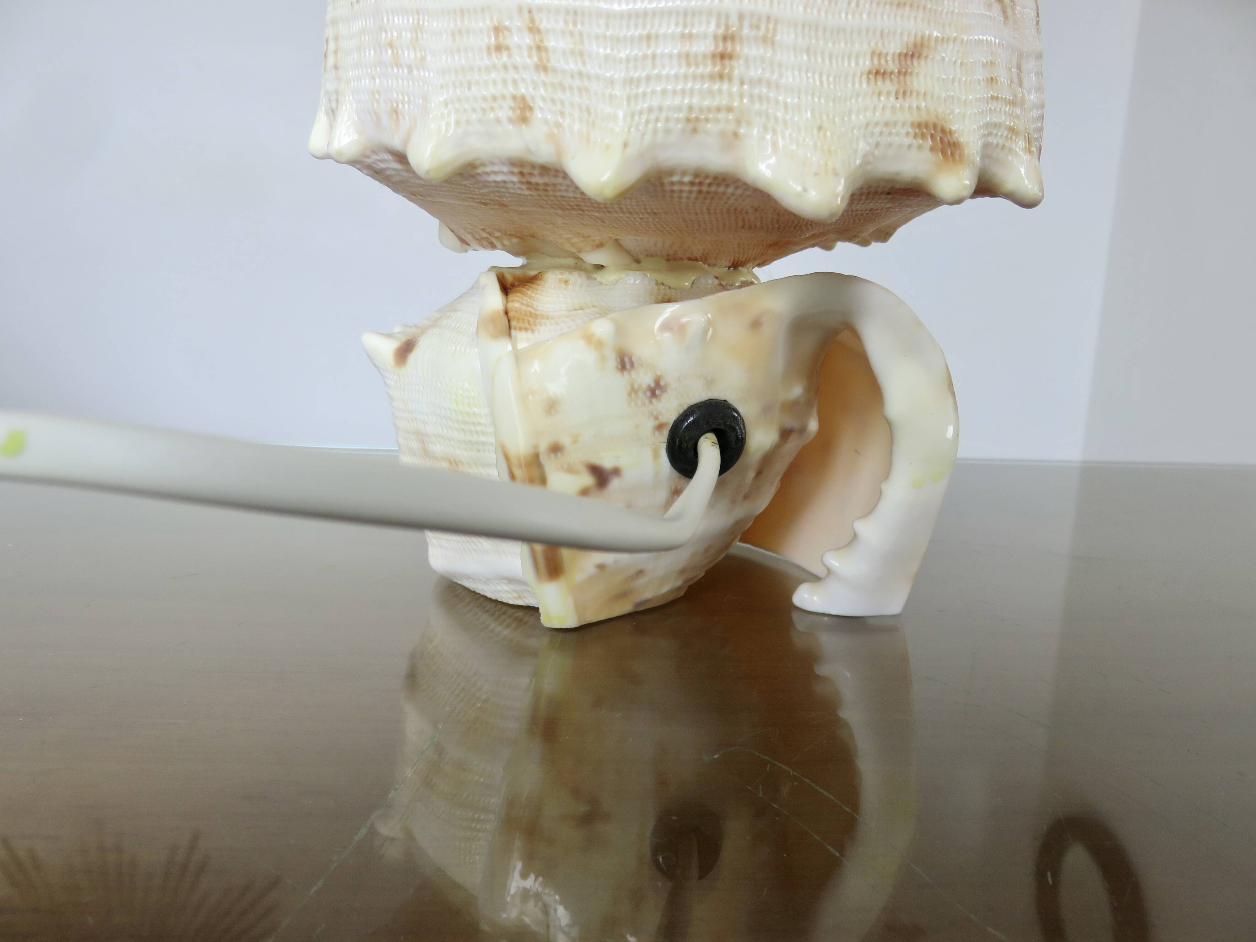 Lampe coquillage "cassis cornita" années 70