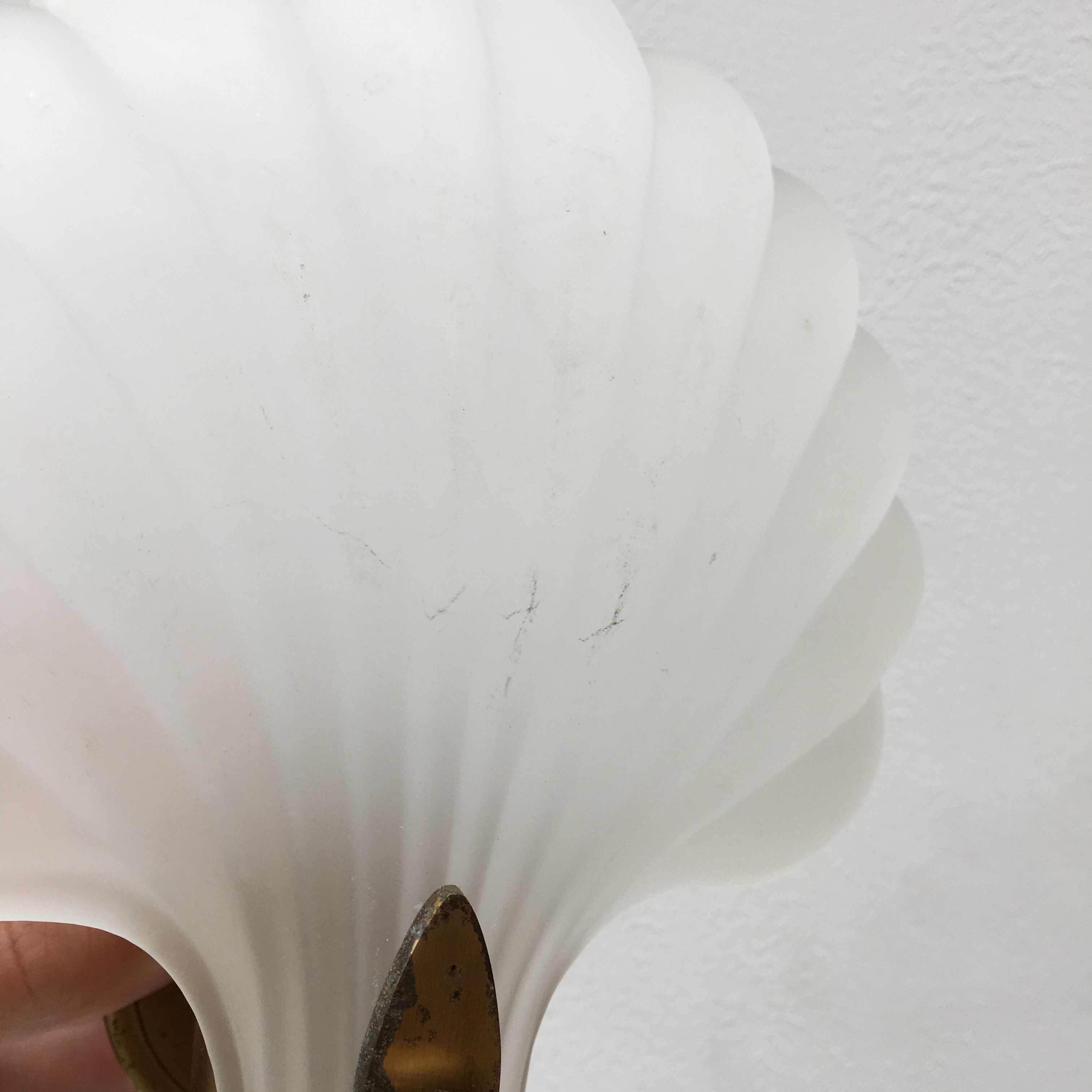 Shell wall lamp 70s Deknudt