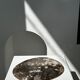 Dish in petrified wood