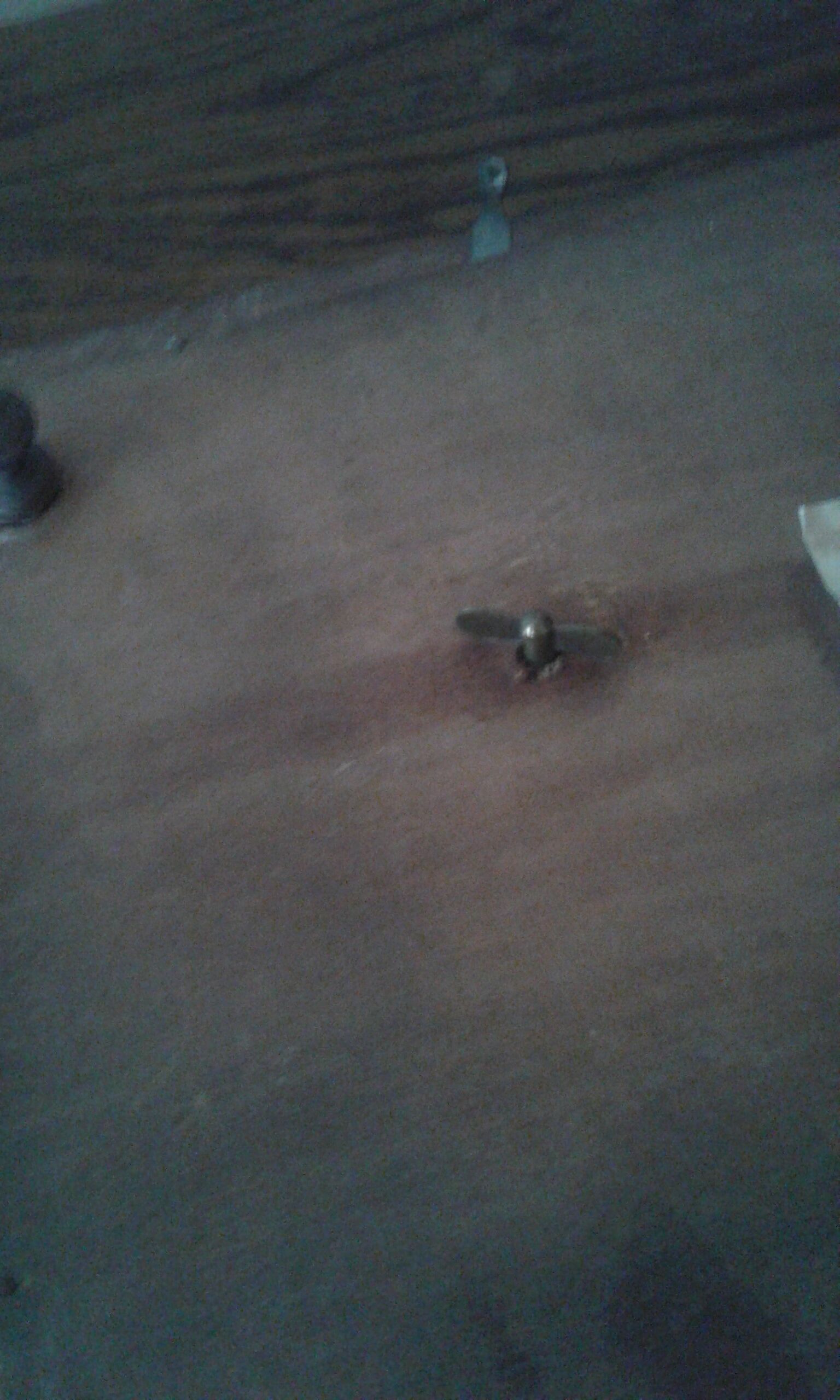 Underside of flat pattern musical bird art deco