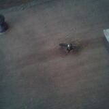 Underside of flat pattern musical bird art deco