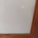 Botanical lithographs bunch of grapes