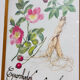 Cynorrondon and red ginseng pharmacy herbarium frame