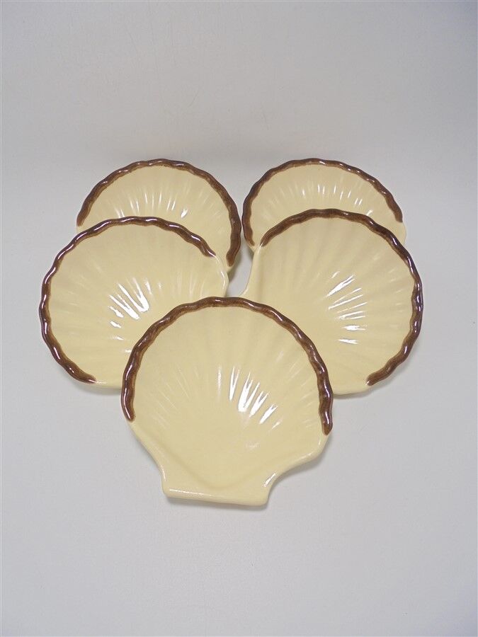 Set of 5 scallops
