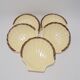 Ensemble de 5 coquilles Saint Jacques