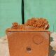 Rose des sables sur socle