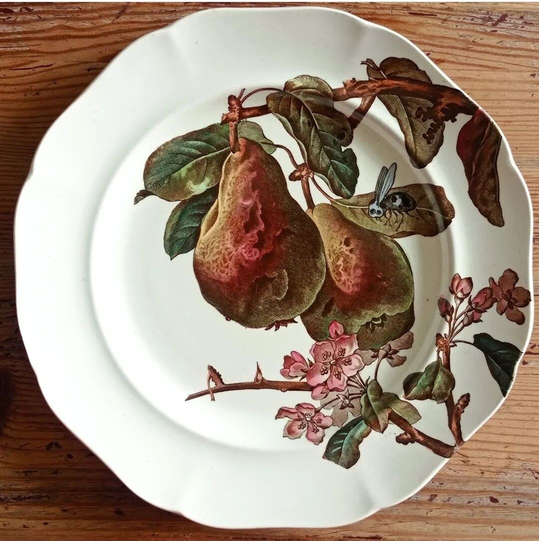 4 assiettes plates Brown-Westhead Moore and Co