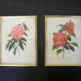Pair of wall decorations of flowers "camellia"