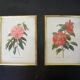 Pair of wall decorations of flowers "camellia"