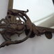 Mirror to ask bronze and brass beginning XXth 32 x 45 cm