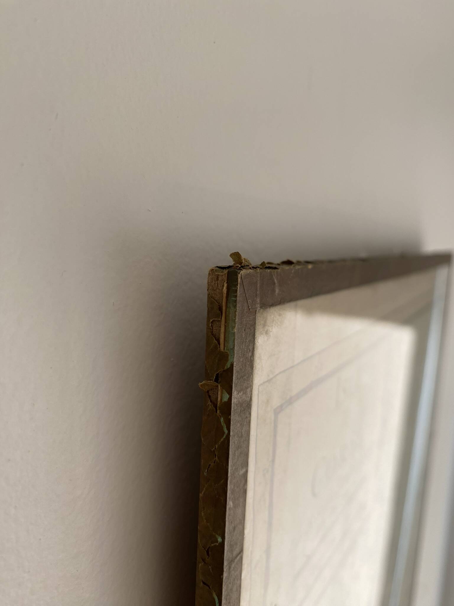 Old map of the Isle of Corsica framed under glass