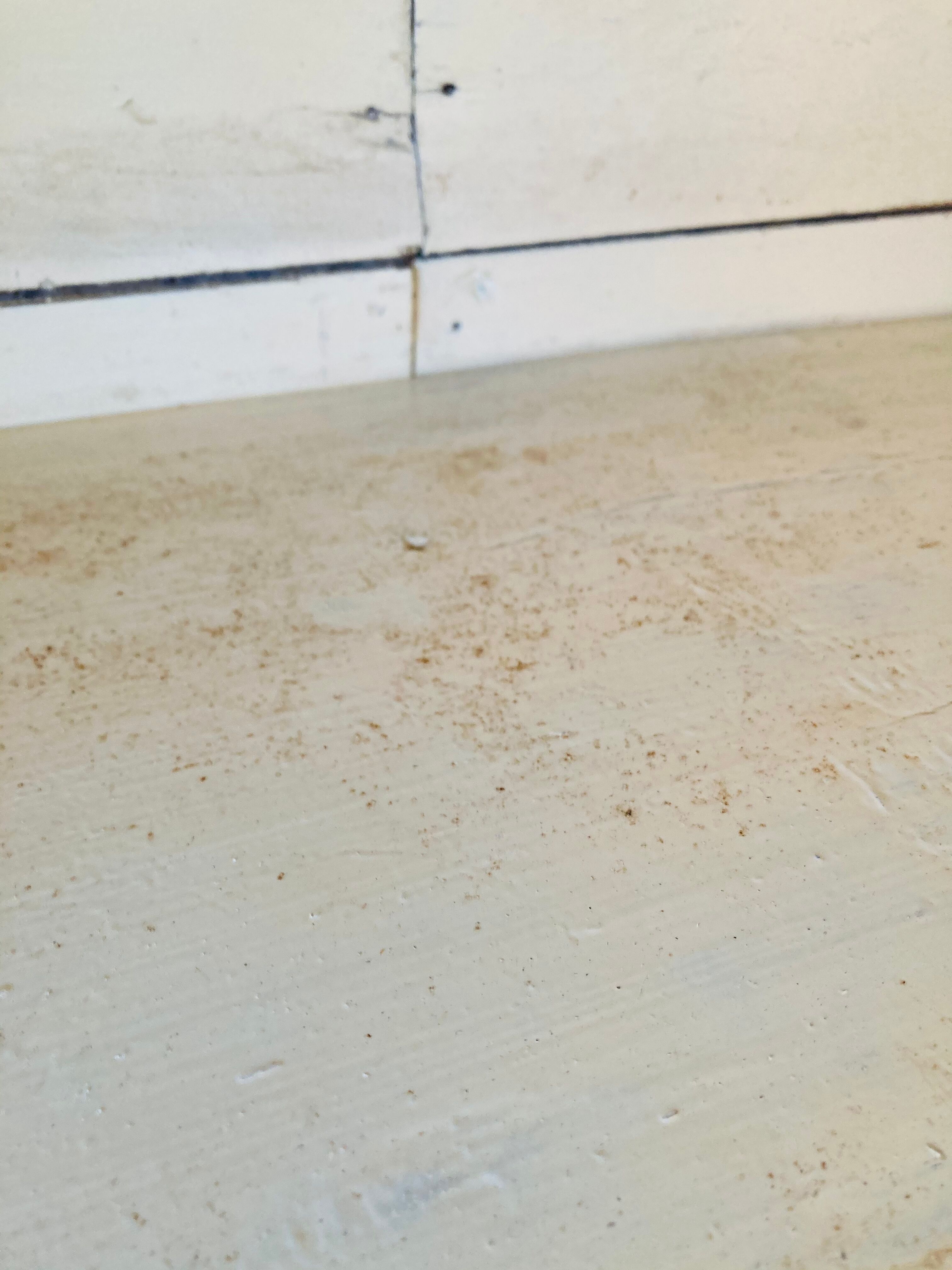 Former cloister cabinet