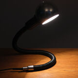 Rare Big "Hebi" Lamp by Isao Hosoe for Valenti, Italy