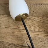 Arlus tulip wall light