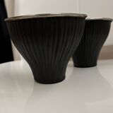 Michael Aran bowls