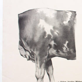 Graphic Poster by Dr. G Pusch, "Anatomy of Cows", 1901