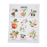 Affiche Deyrolle Fruits N° 532 bis