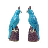 Pair of Turquoise Glazed Parrots Chinese Porcelain 30cm
