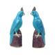 Pair of Turquoise Glazed Parrots Chinese Porcelain 30cm