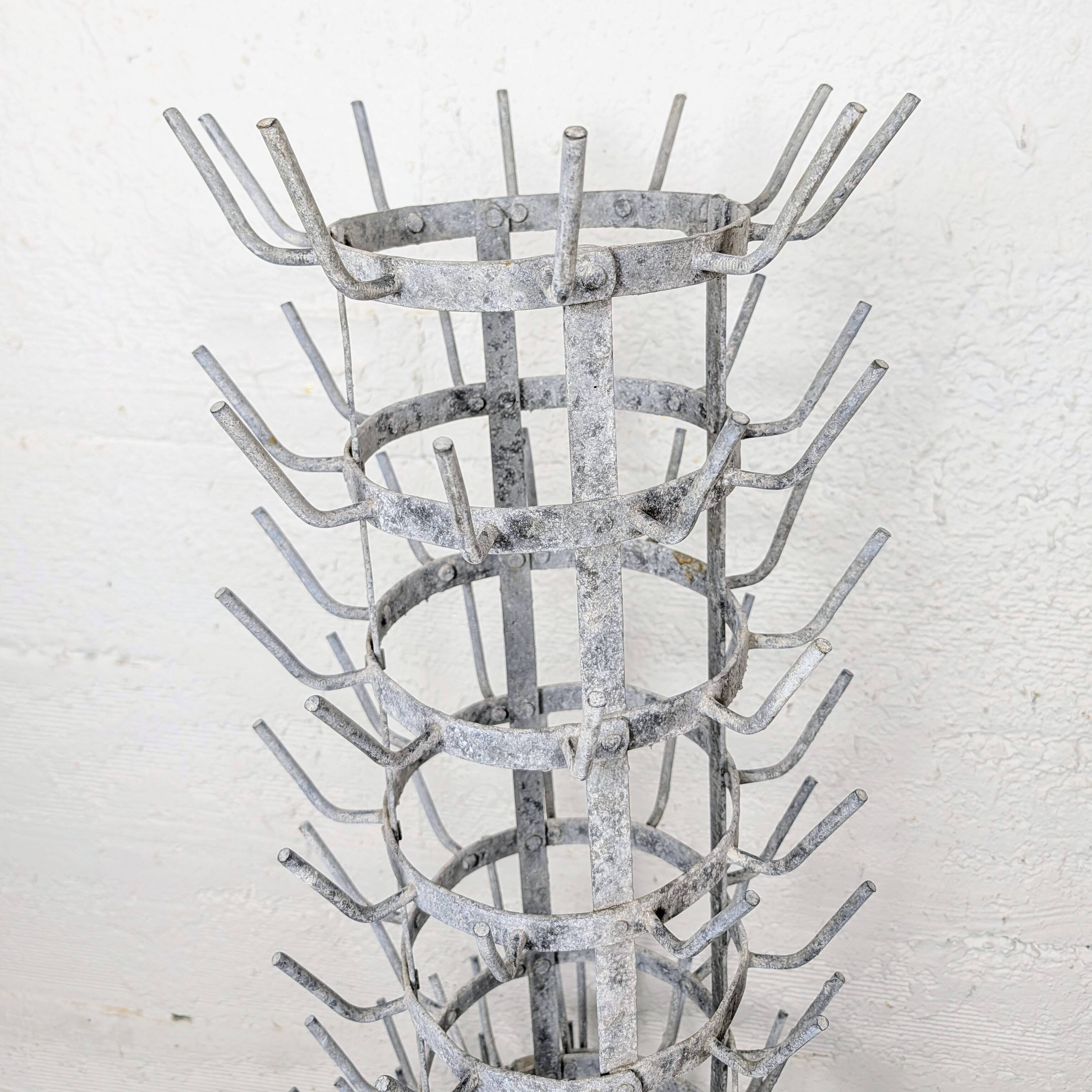 Hedgehog or bottle tree