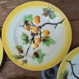 Set of 8 small fruit slip plates Orchies Moulin des Loups