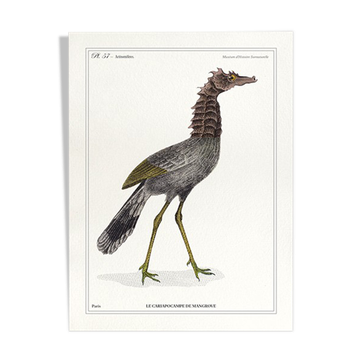 Lithograph chimeric engraving animal - the cariapocampus