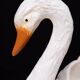 Antique Capodimonte Ceramic Swan jardiniere 1880
