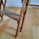 Old beech ladder