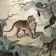 Large antique engraving, 1886 - Tigers and mammals. Lithograph plate