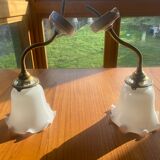 Paire d'appliques col de cygne opaline