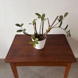 Charming vintage table/desk