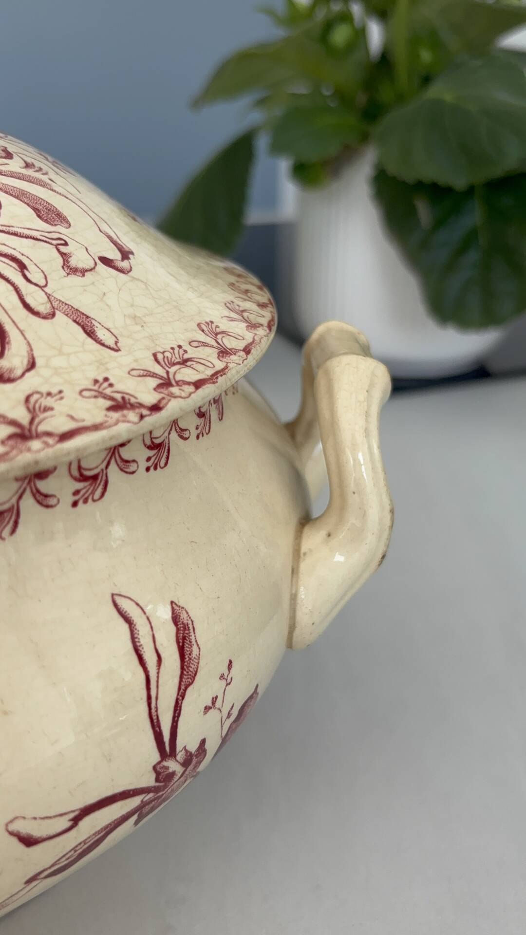Red earthenware soup tureen, Gien factory, honeysuckle model.