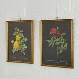Pair of flower engravings