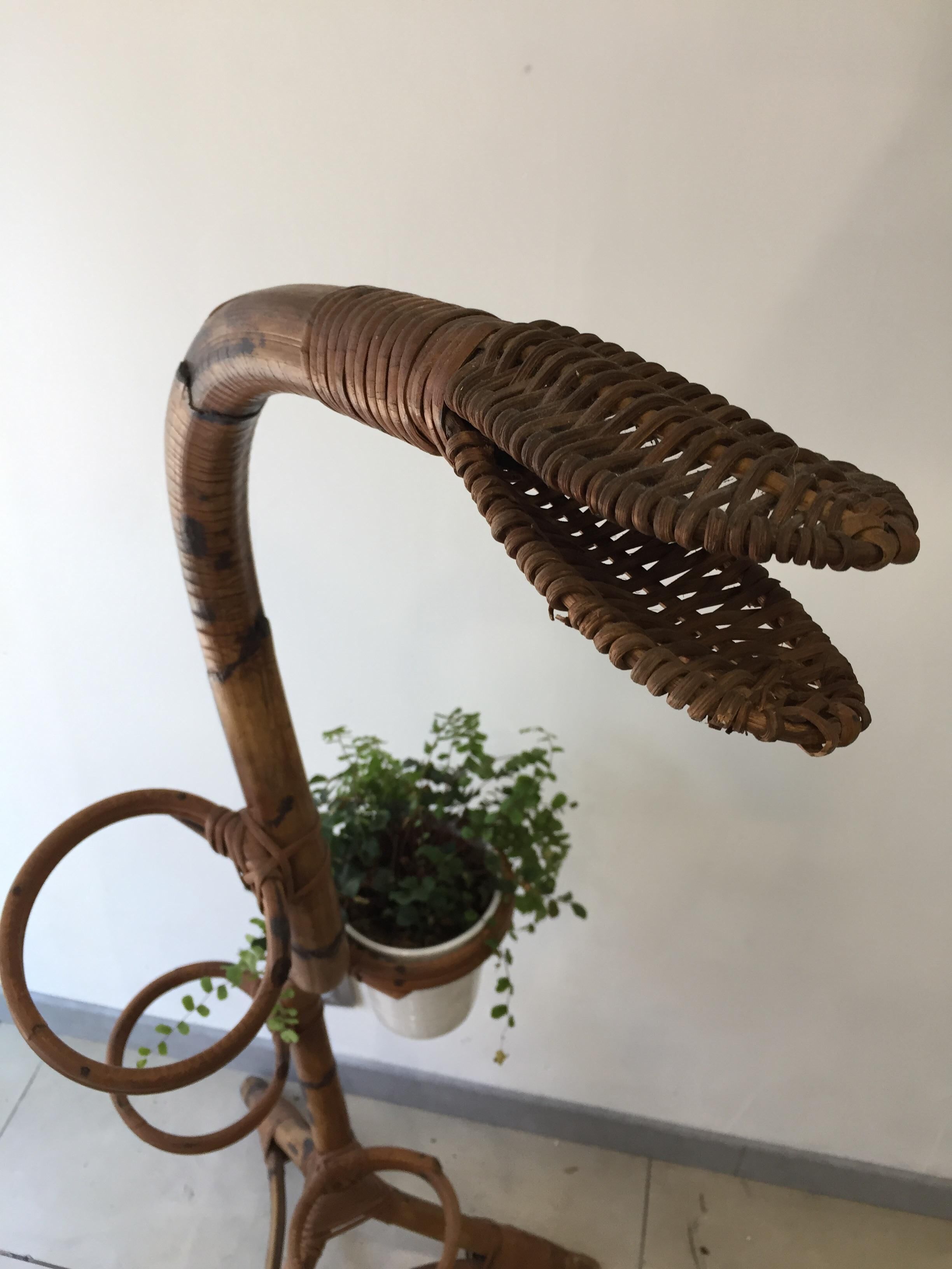 Support for plants
