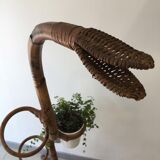 Support for plants
