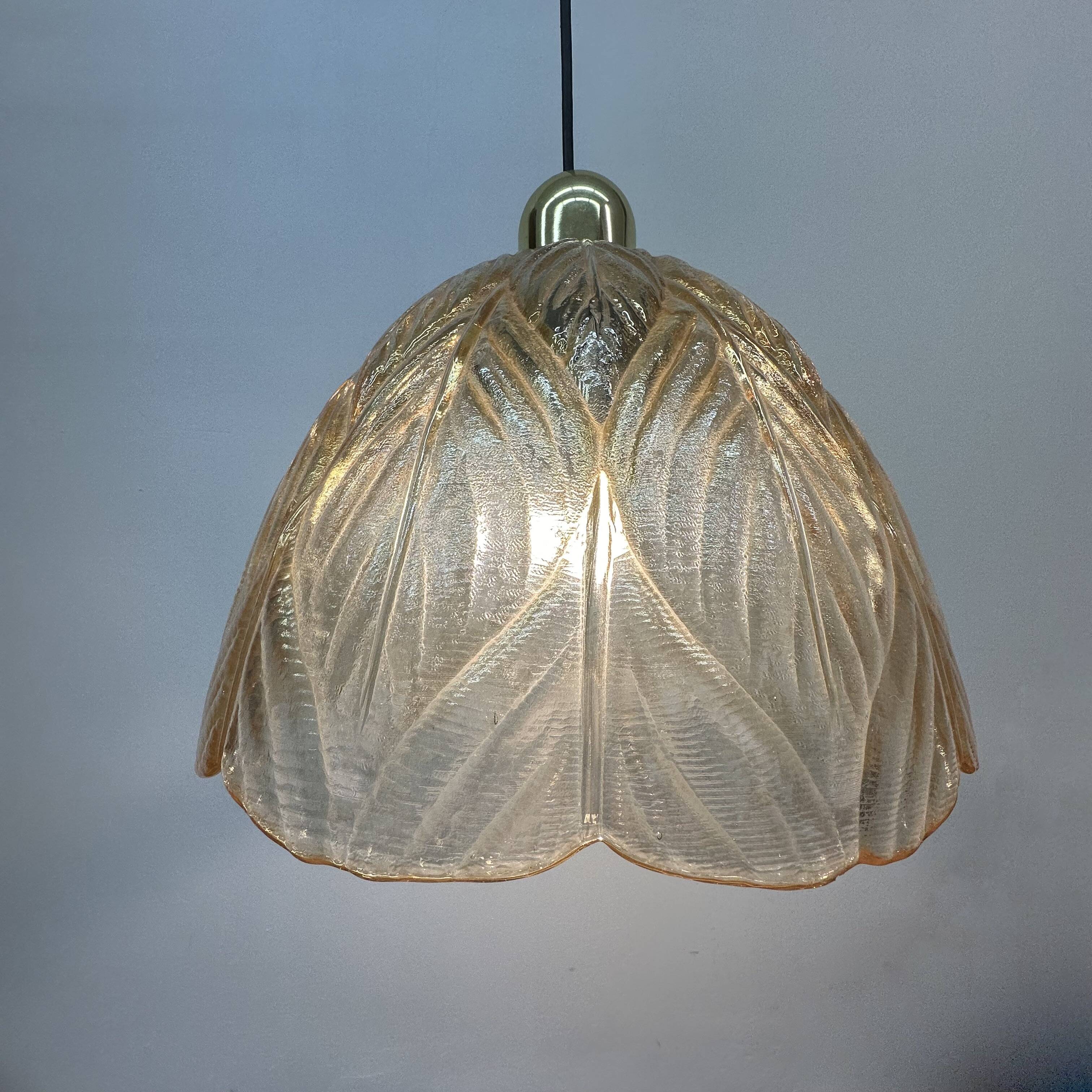 Peil & Putzer glass leaf hanging lamp , 1970’s