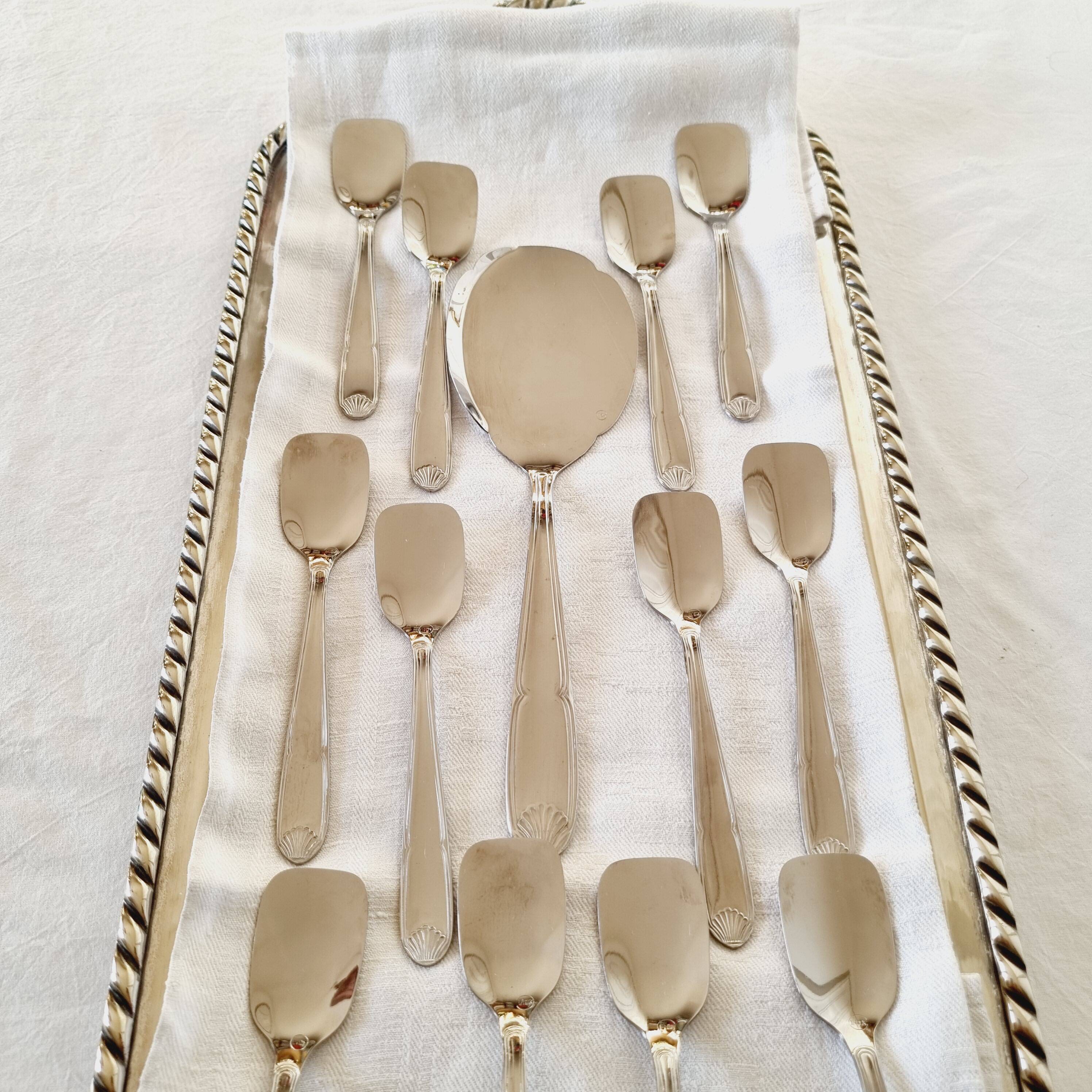 Box with 12 vintage spoons and spoon for serving ice cream in stainless steel